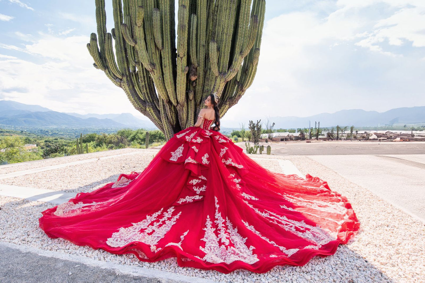 LEB379 | CALL TO PLACE ORDER